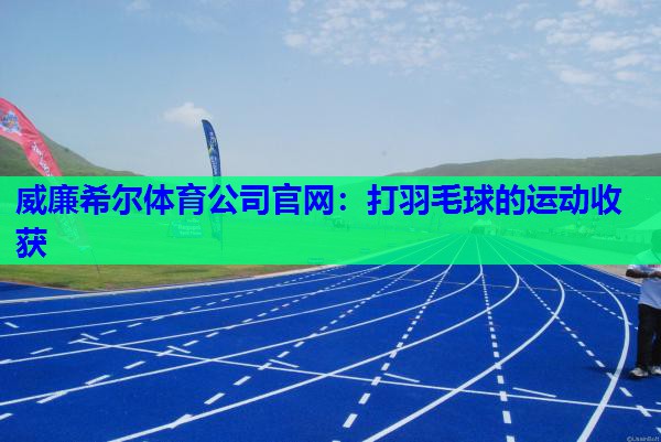 打羽毛球的运动收获